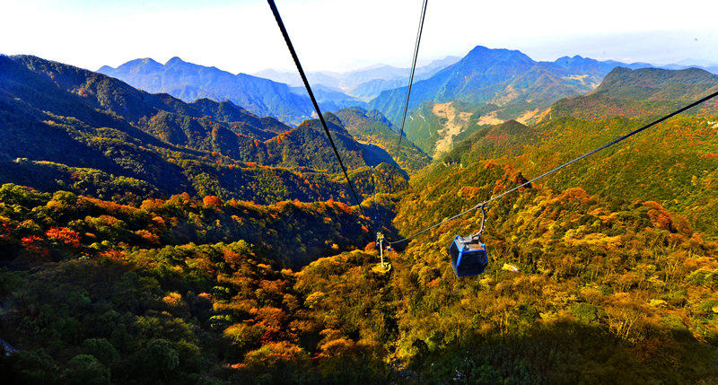 重庆这座城市很迷人,重庆主城周边哪个山最高