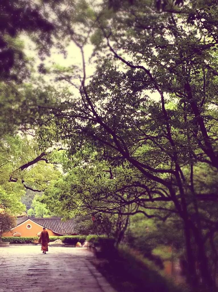 舟山沿海城市有多美,舟山是一座有魅力的城市