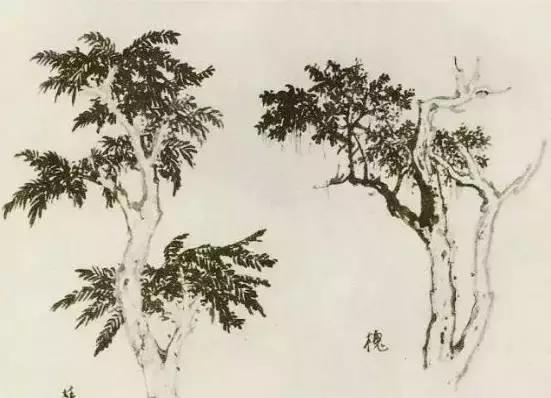 怎么画枯萎的树简单又好看,成长树怎么画小学生六年级