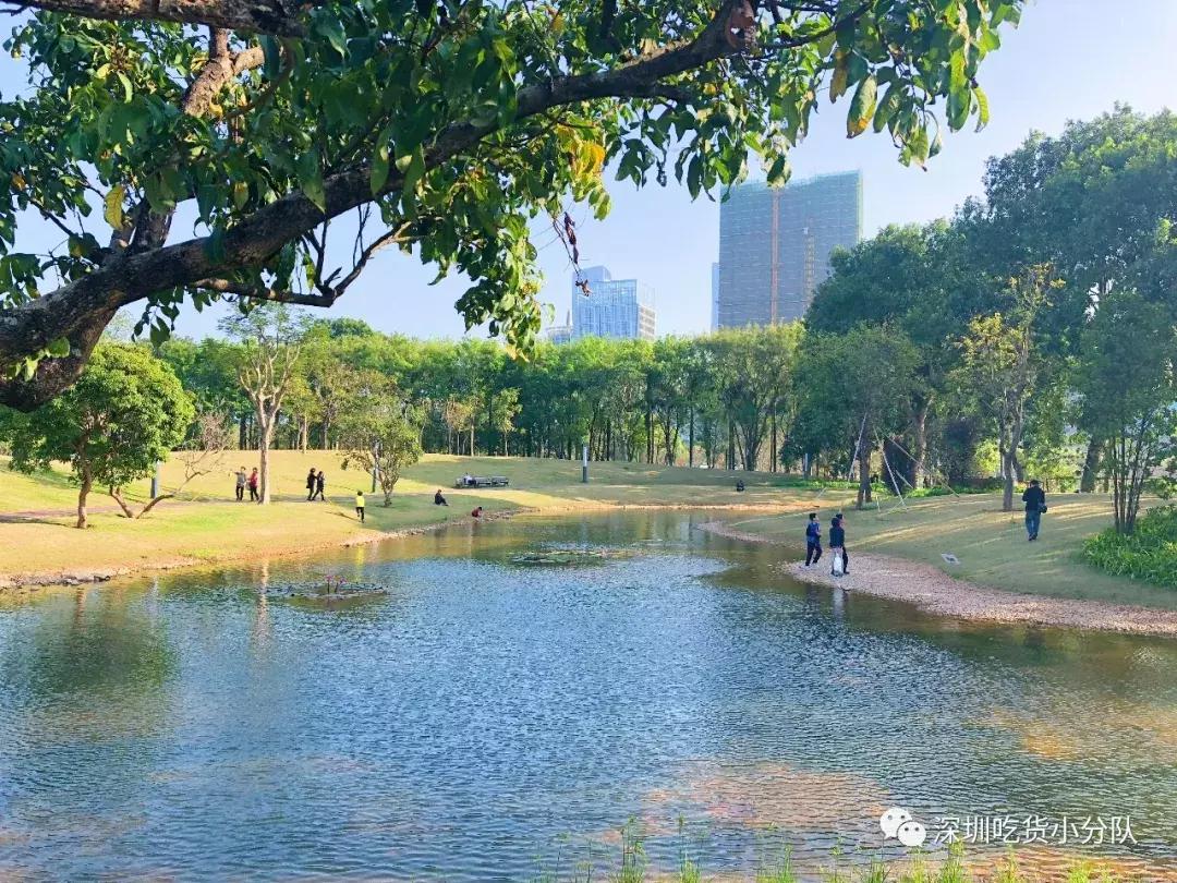 深圳福田结婚登记处环境,深圳最美结婚登记处