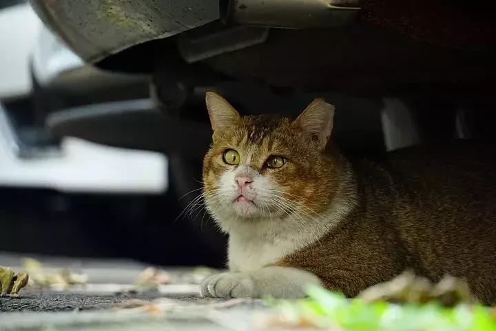 e-mount索尼,emount镜头焦段