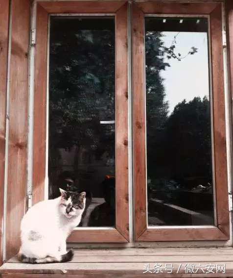 山东政法学院学费,山东政法学院宿舍