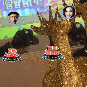 baby装蜡像,baby假装蜡像邓超