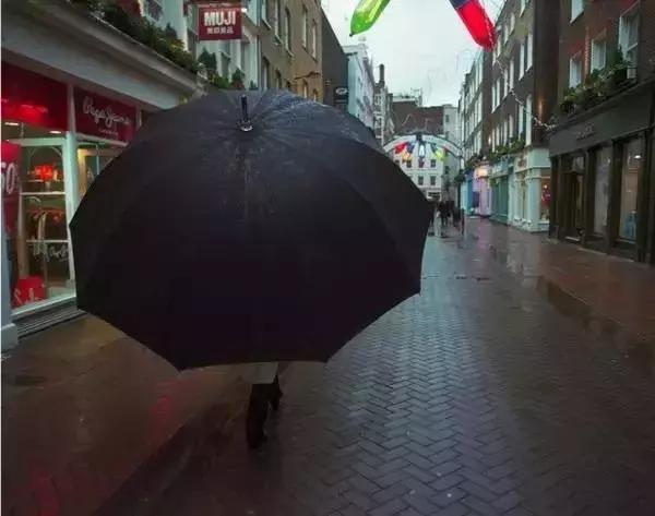 留学圈到底有多炸裂,揭秘留学真相