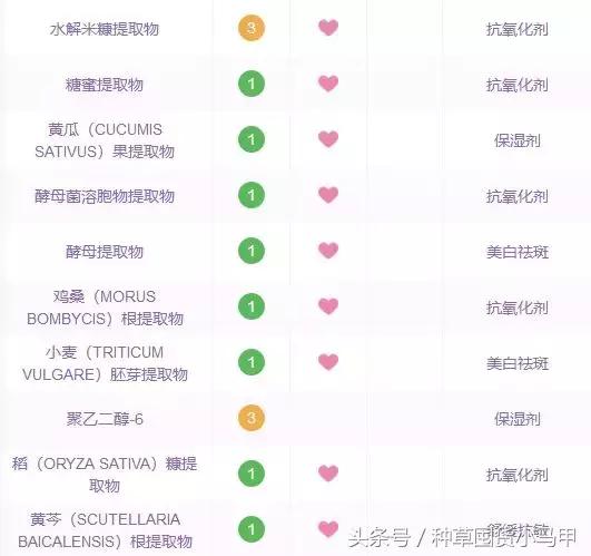 十大网红精华测评,网红精华必买产品