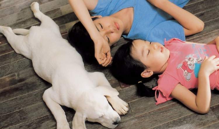 狗年旺旺视频完整版,狗年旺旺2019