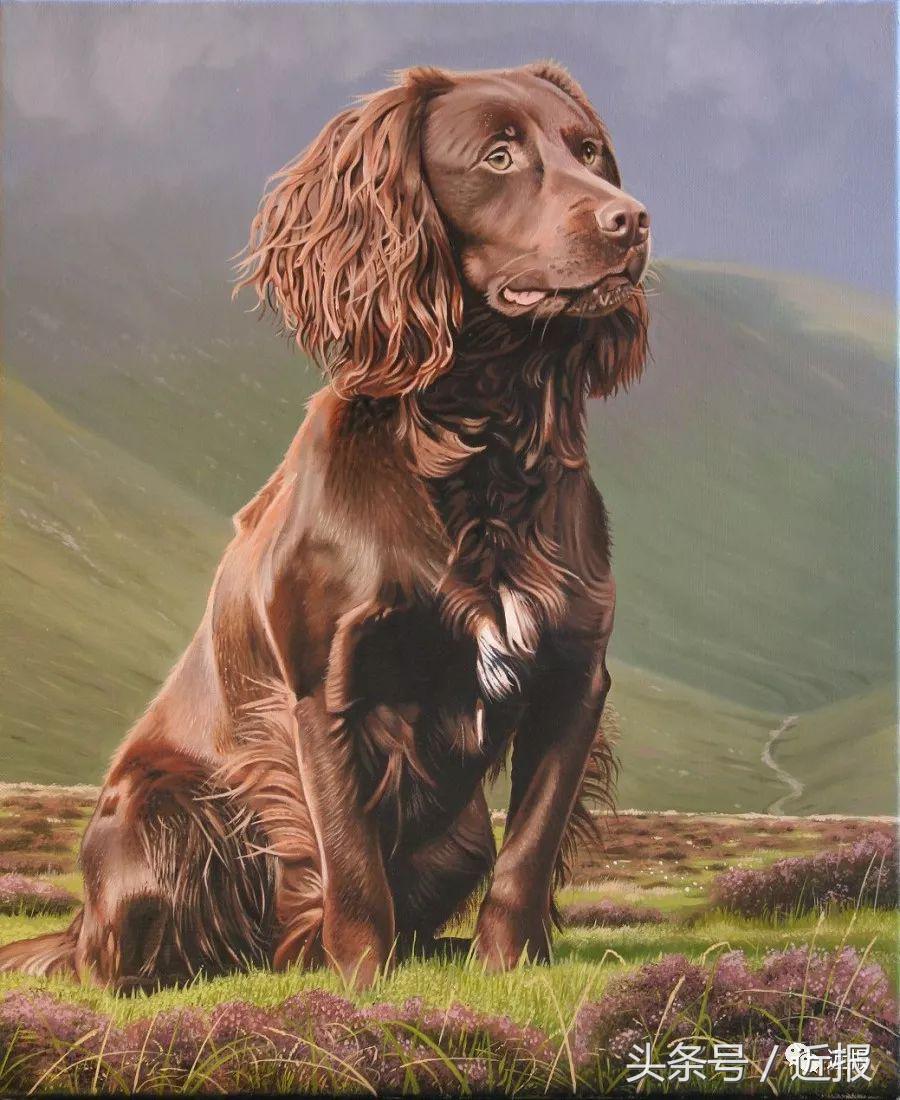 你没见过的“汪星人”都在这了！狗年就让它们来萌“化”你吧