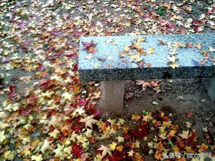 山东政法学院学费,山东政法学院宿舍