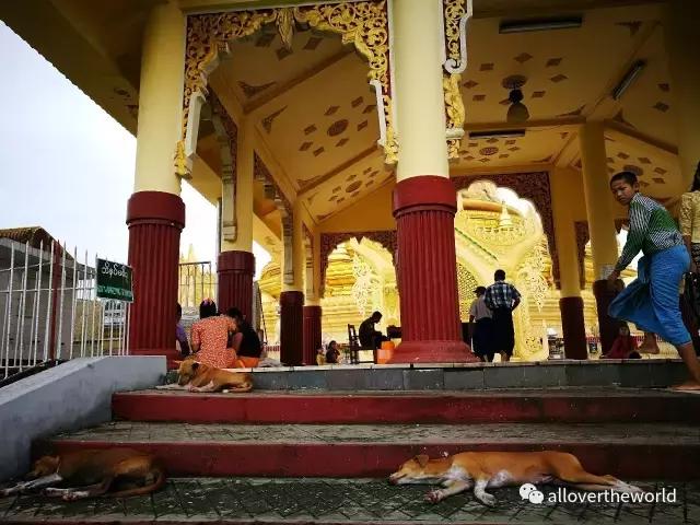 独行于缅甸,一瞥这众神国度