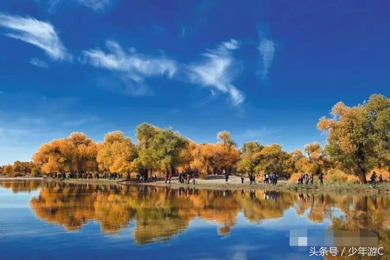 有2个浙江或6个台湾大,农民人均收入直逼上海,它就是*疆新**若羌县