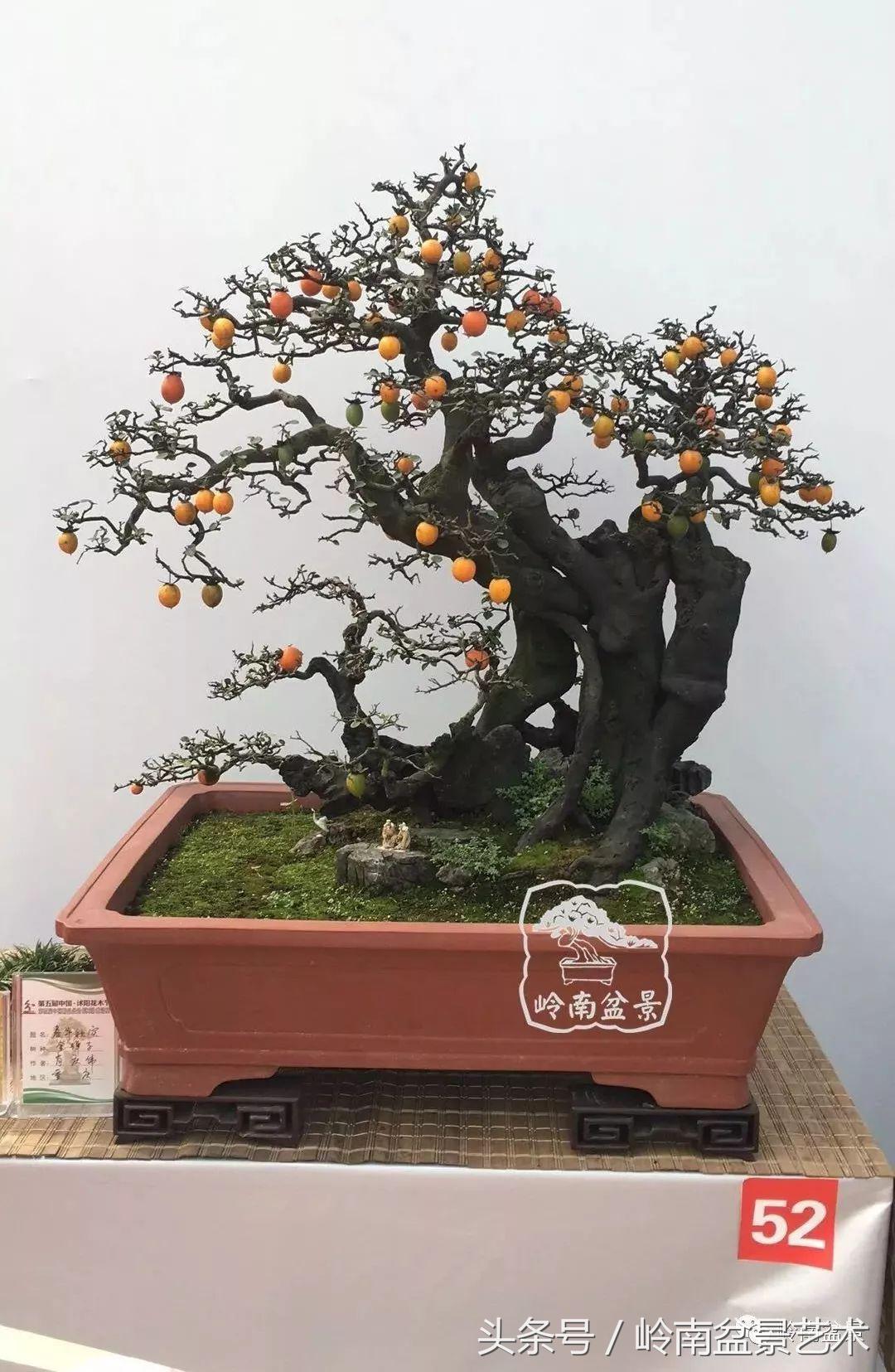 过年送礼好不好,过年送礼单数还是双数好