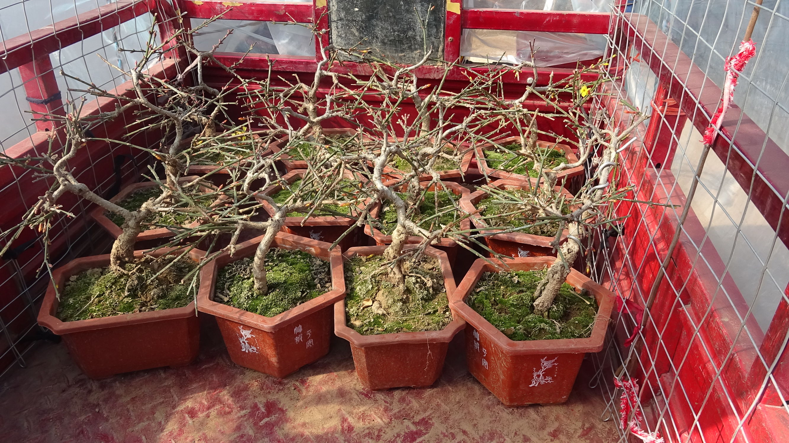 我的家乡集市,临朐县城大集