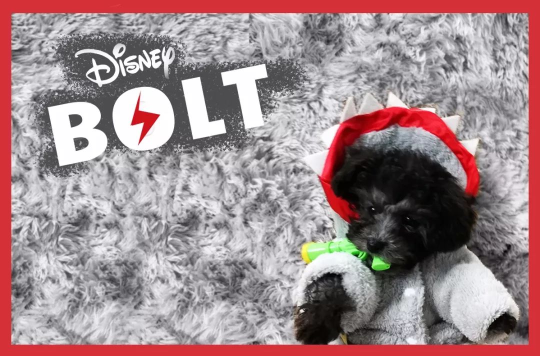 买买买遇到哪些套路,买买买搞怪视频