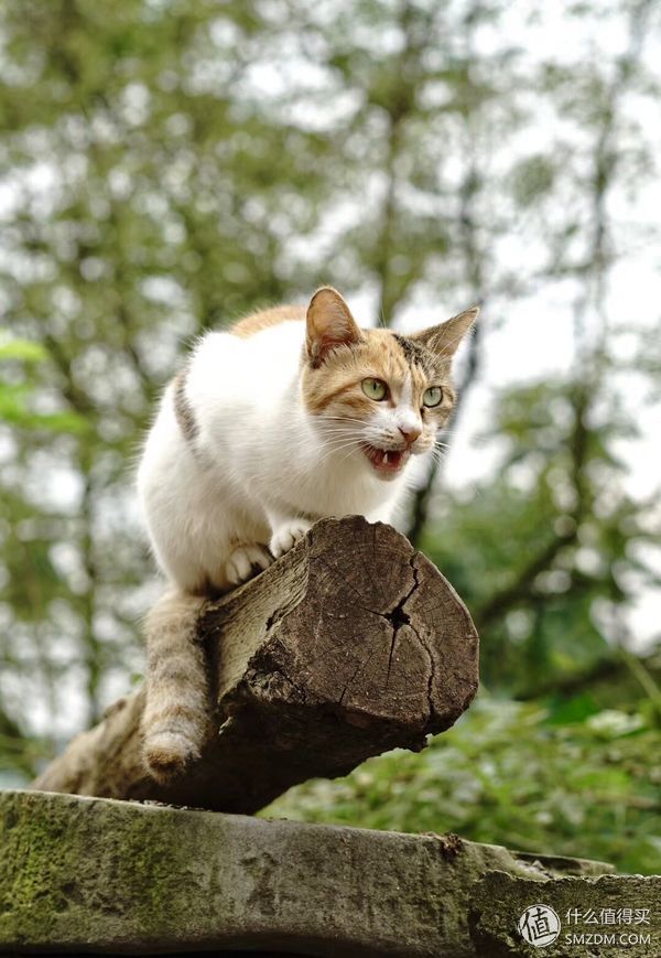 带着相机旅行记,带相机旅行记录