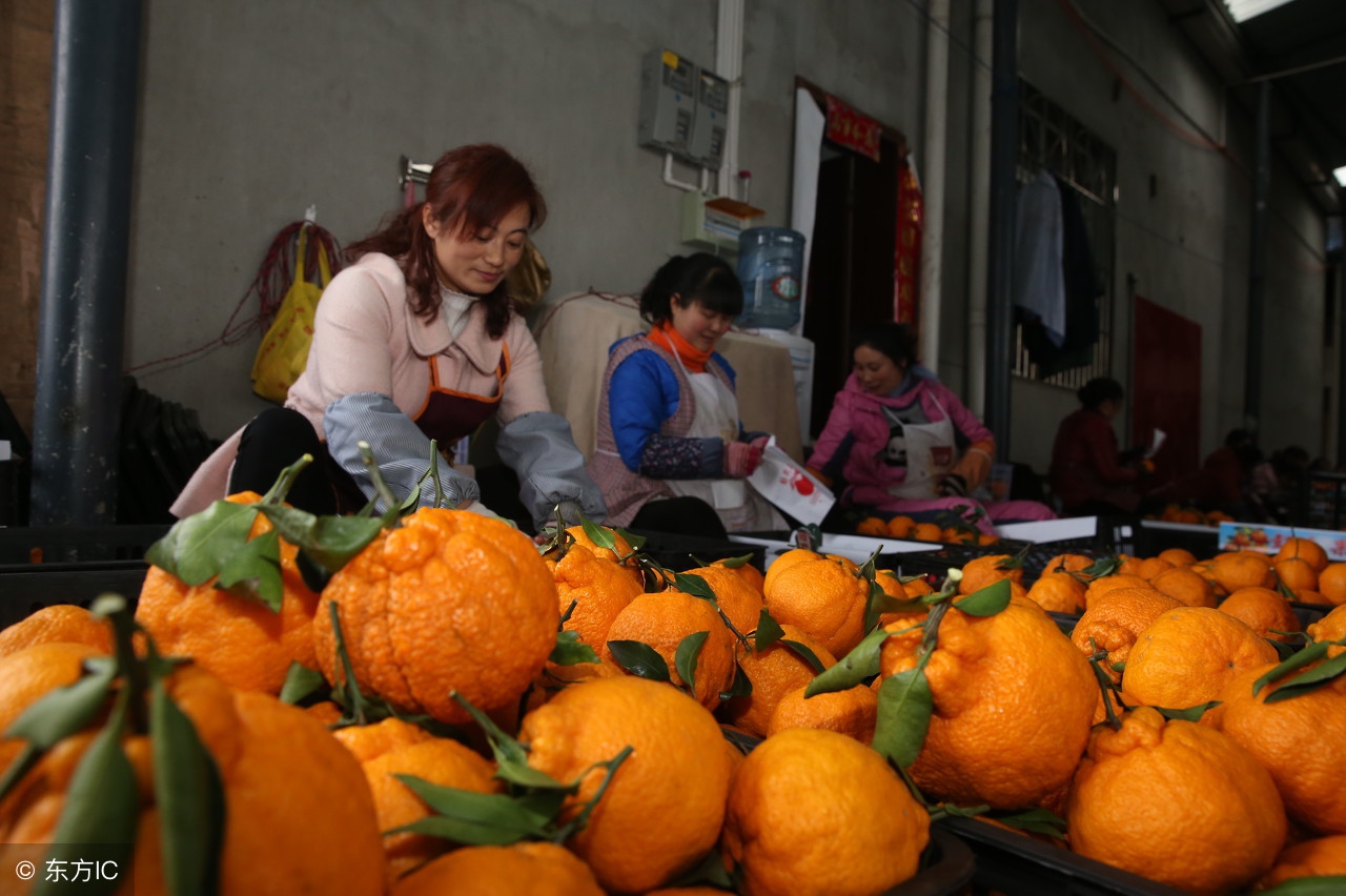 盘点两种颜值很丑的水果,4种难以下咽的水果长相也奇葩