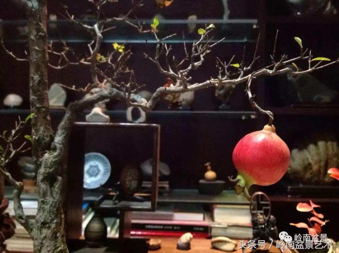 过年送礼好不好,过年送礼单数还是双数好