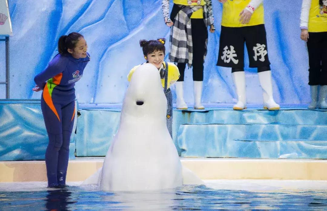 走起~今晚18:30拿出手机摇一摇,《过年啦》惊喜来袭!