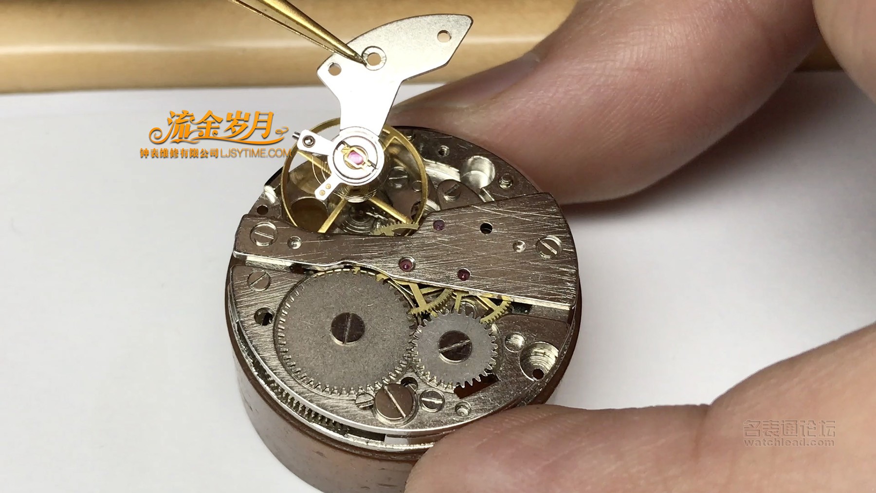 浪琴表如何保养和维修,修表教程浪琴八针月相