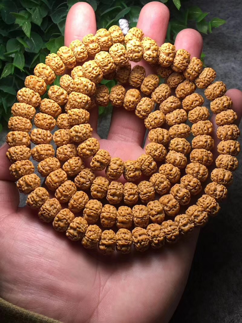 ufo金刚是什么品种,金刚菩提飞碟双龙怎么盘