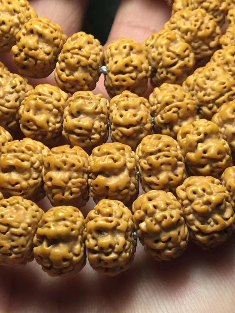 ufo金刚是什么品种,金刚菩提飞碟双龙怎么盘