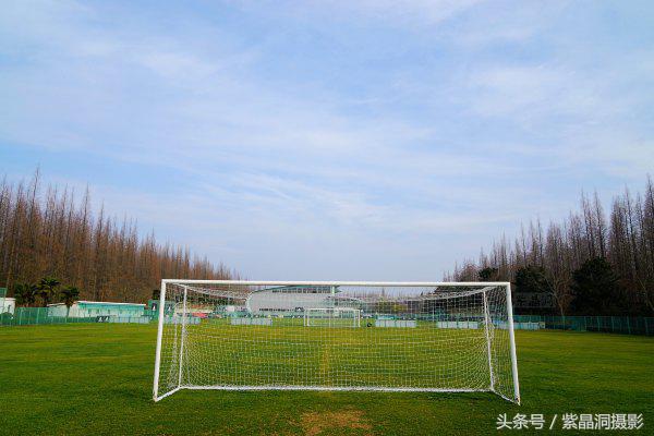 武磊身价能涨到2000万欧吗,武磊最新身价达2000万欧