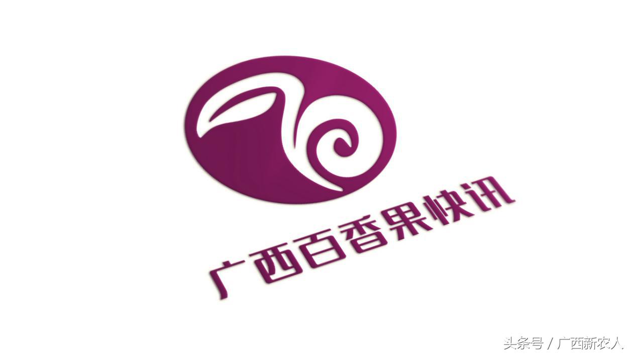 看95后，如何玩转百香果品牌设计