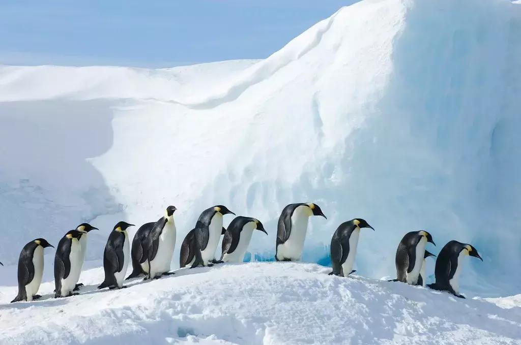 地球最后净土南极,南极地球最后一片净土