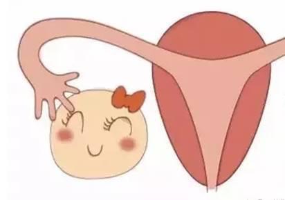 听身边朋友事例不敢手术耐心医生相劝五次犟婆婆终“屈服”