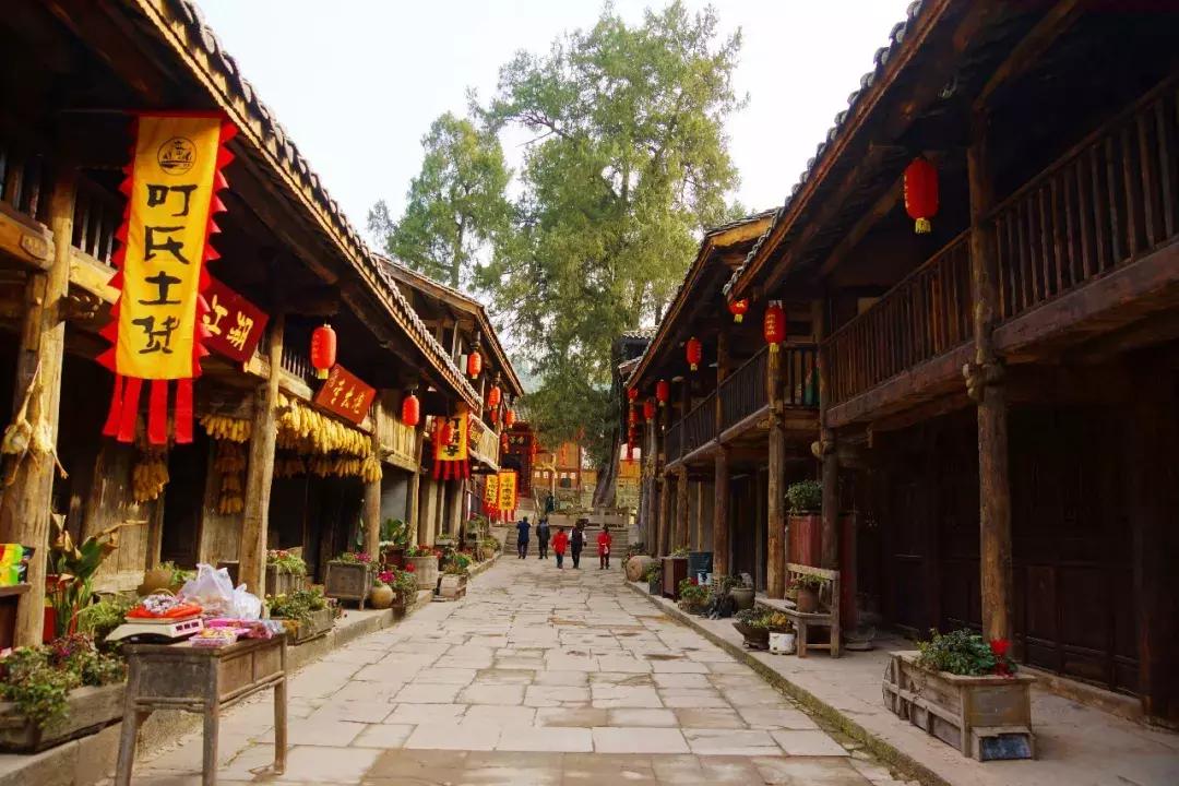 广元市柏林樱花节,广元柏林大型樱花节