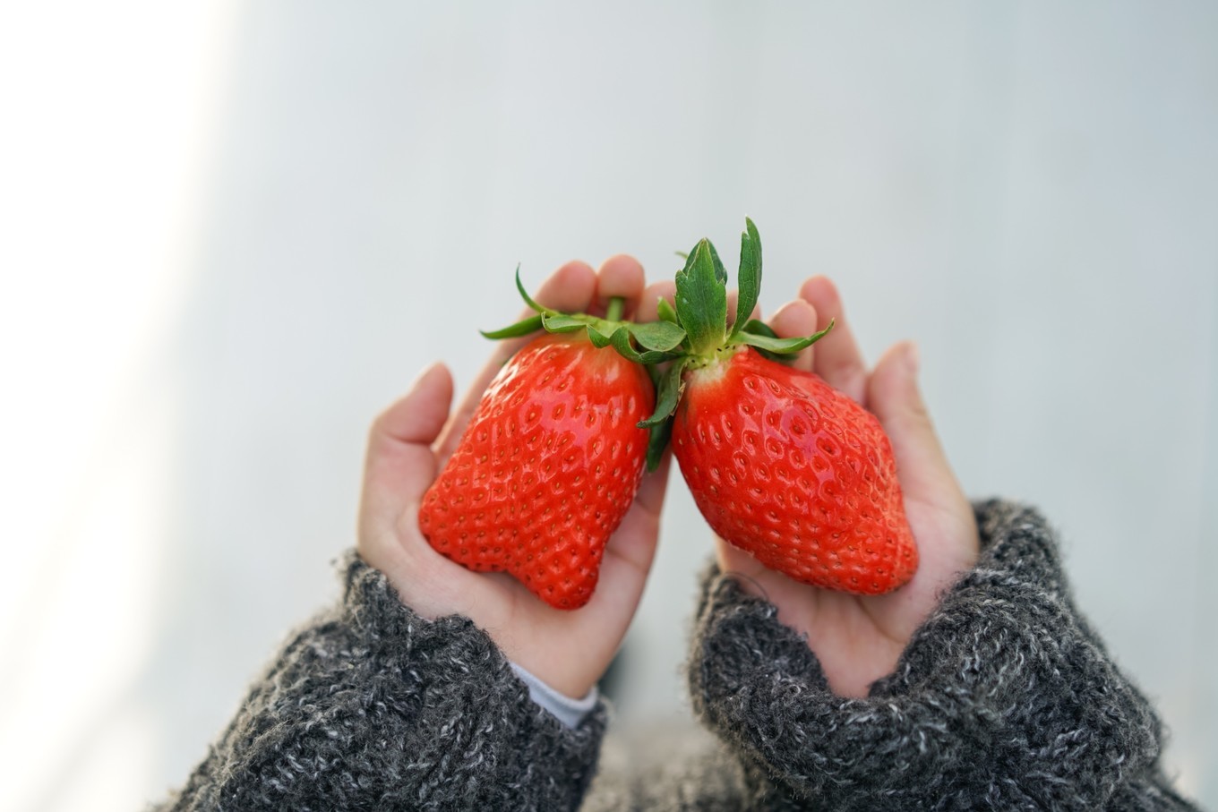 handycam,handycam亲子游