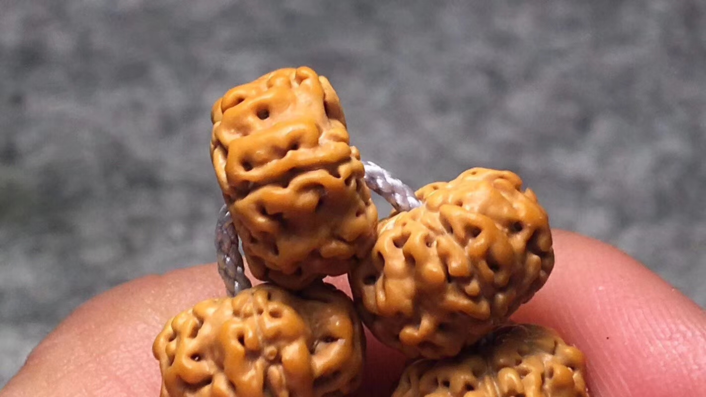 ufo金刚是什么品种,金刚菩提飞碟双龙怎么盘