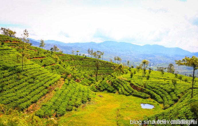 印度洋上的明珠斯里兰卡,印度洋明珠是哪个国家