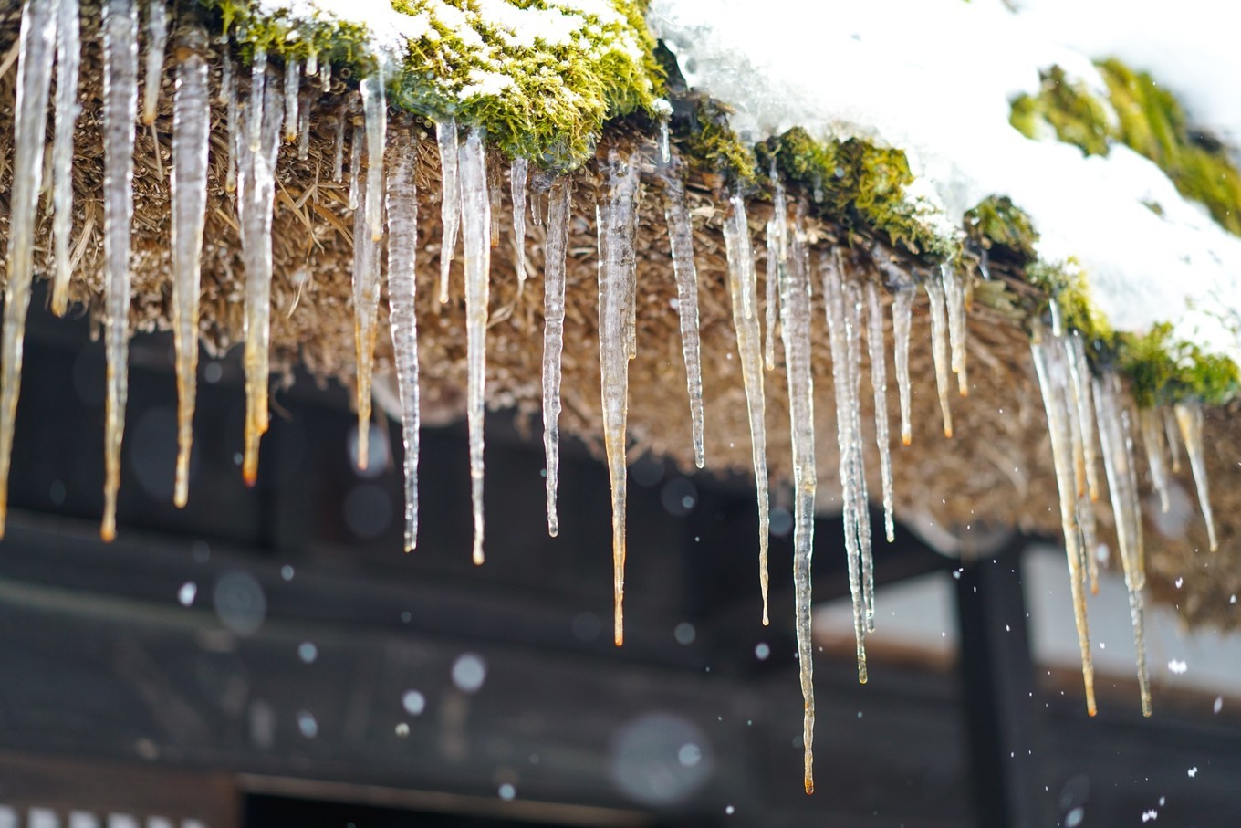 handycam,handycam亲子游