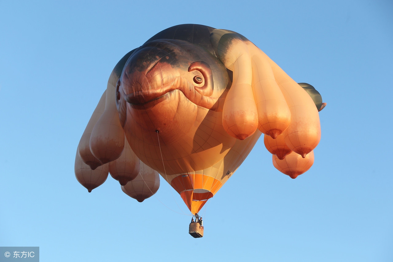 吹牛和吹驴吹羊的区别,吹牛和吹马有什么区别