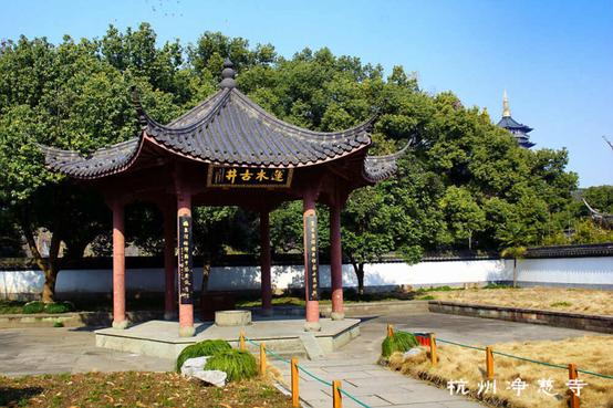 杭州本地人西湖一日游,本地人杭州游杭州详细攻略