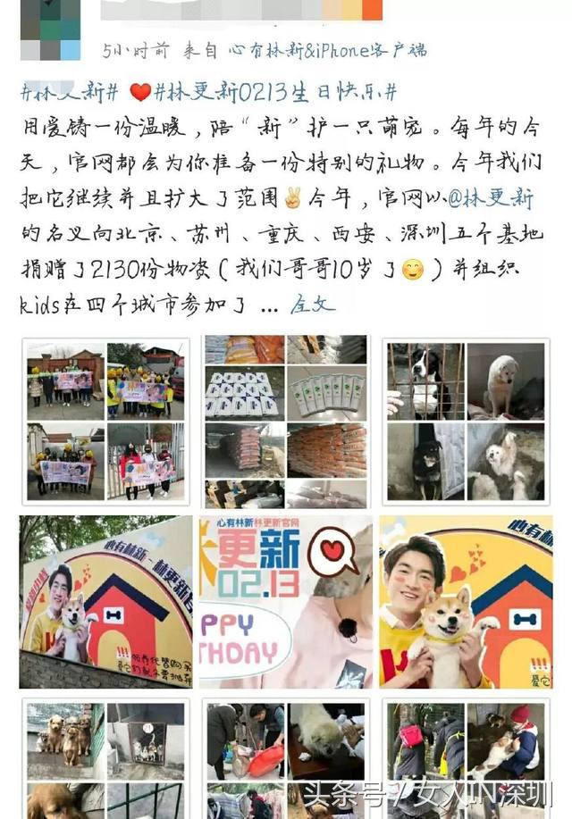 林更新生日活动,林更新生日愿望