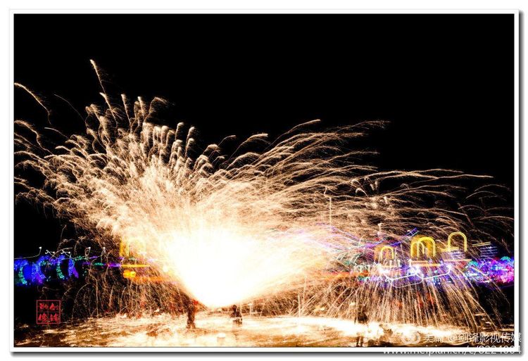 鄢陵花木博览会,鄢陵县西山区中原花木博览会