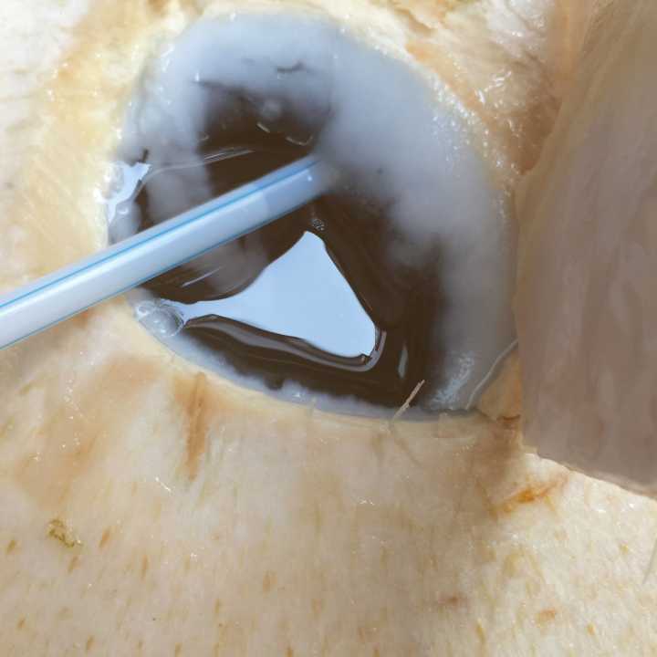 三亚自行游四天三晚攻略,三亚7月游最佳攻略