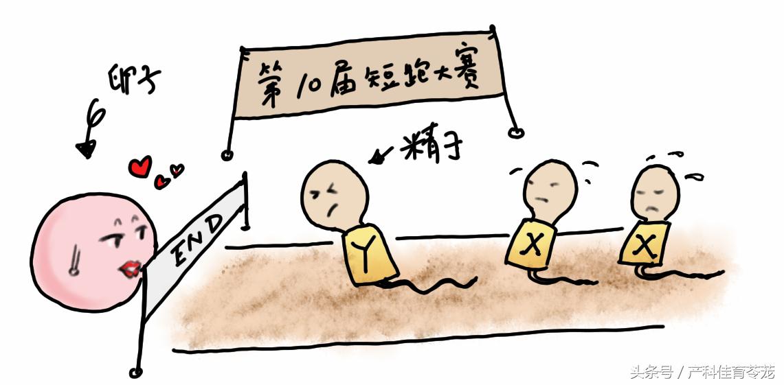 生男生女真的这么关键么,什么决定生男或生女