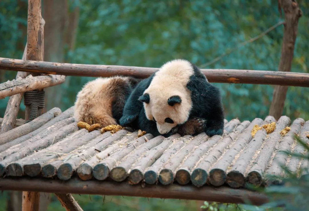 大学四年,我赚到人生第一个十万,去了十个省市,三个国家