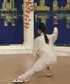 太极二十四式入门基本动作,太极入门学24式吗