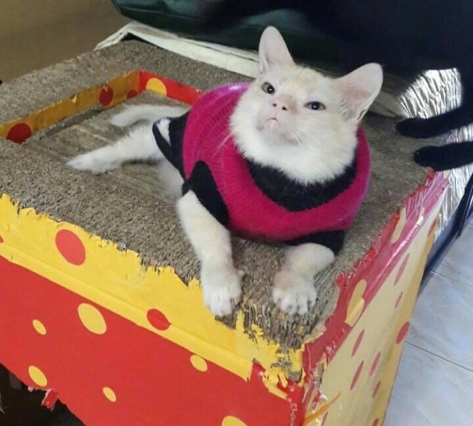 年会抽中11万元,年会抽中iphone