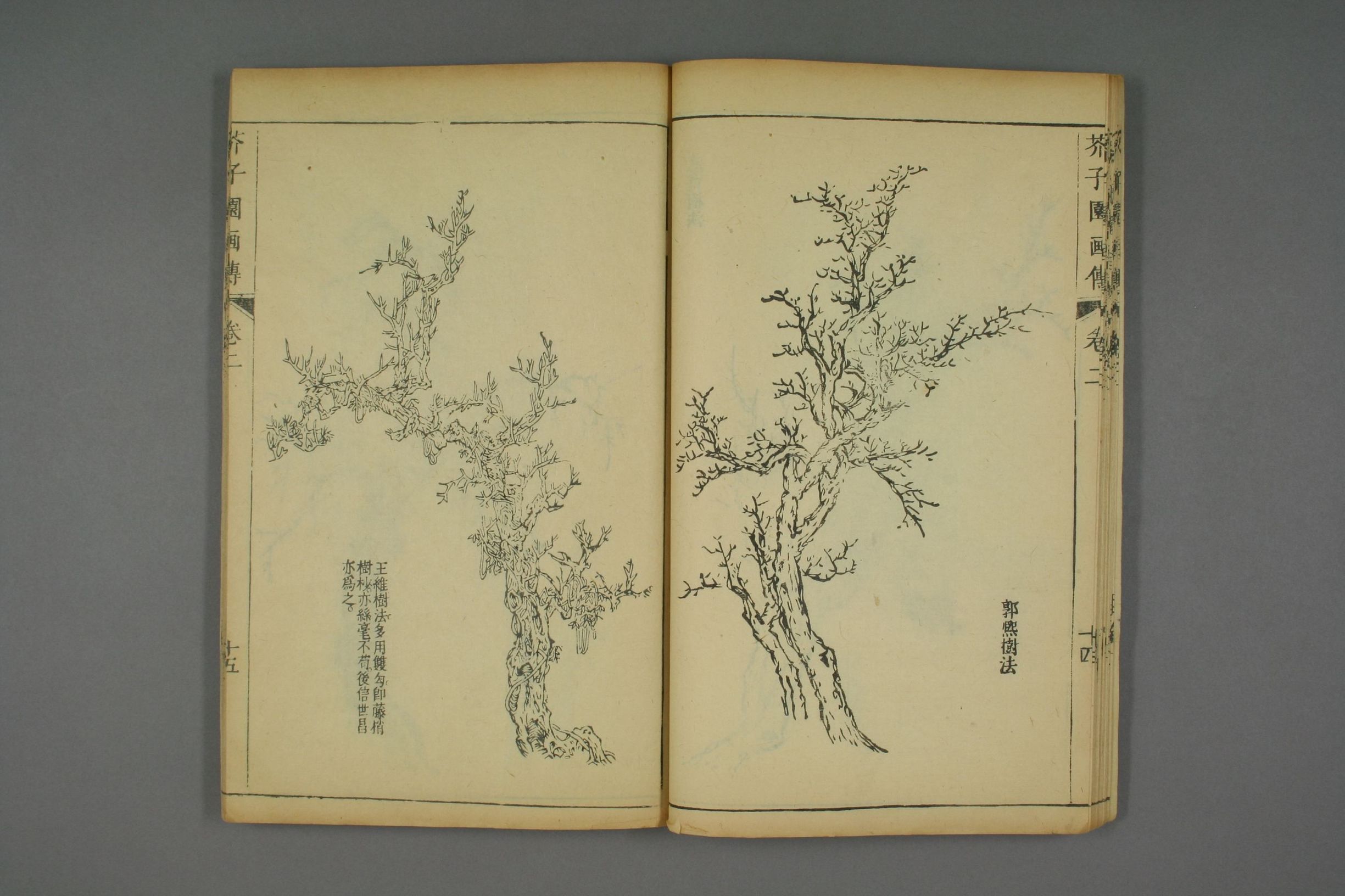 康熙原版芥子园画传全套,芥子园画传价格