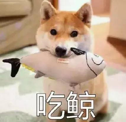 今年春节档最值得看的电影 (春节档已开分的四部电影豆瓣评分)