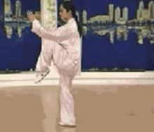 太极二十四式入门基本动作,太极入门学24式吗