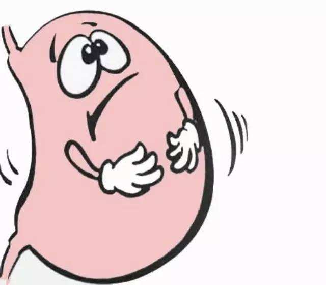 除夕鸡鸭鱼肉吃多了，胃难受不消化怎么办？