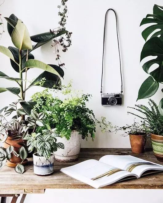 新的一年生活充满阳光,有一种生活叫有氧