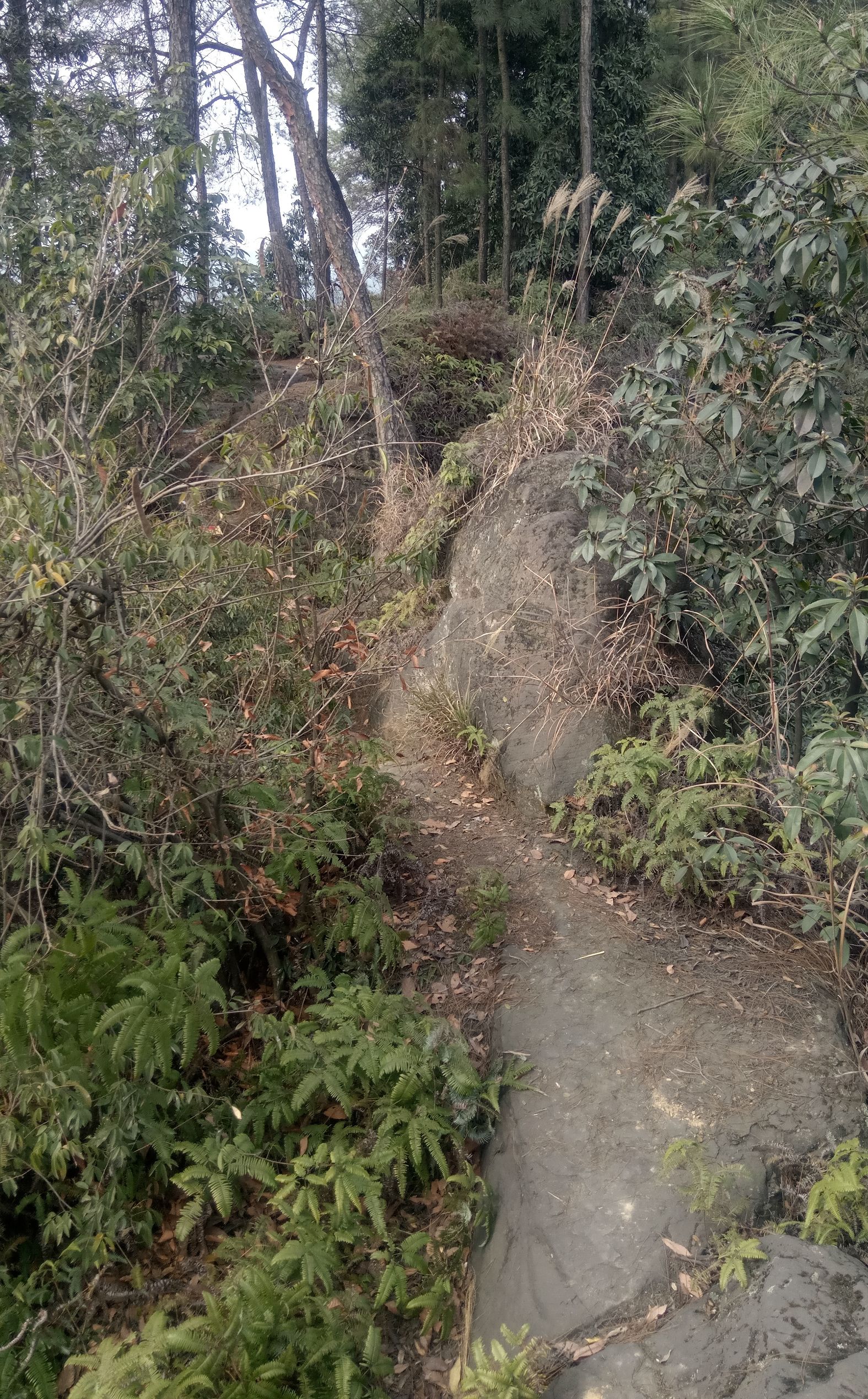 纯天然氧吧是锻炼的好地方,天然氧吧骑行好去处