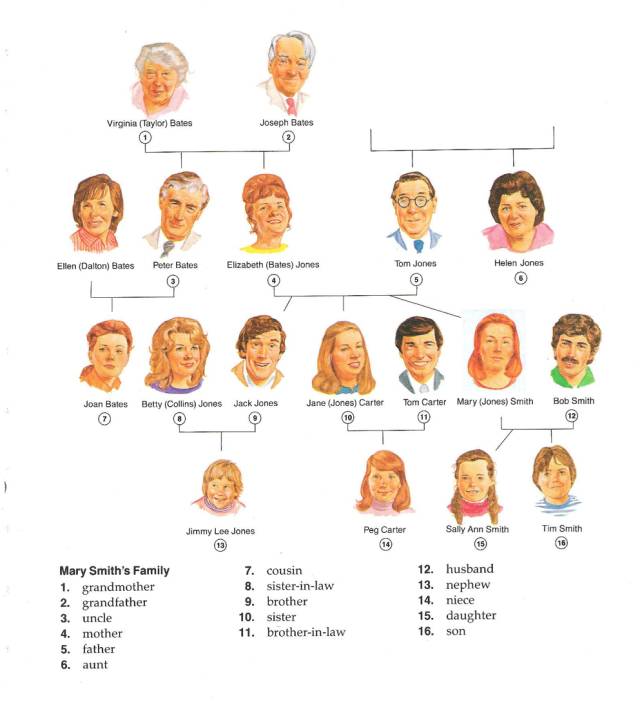 利用单词引导孩子学英语,如何用好词典笔学英语