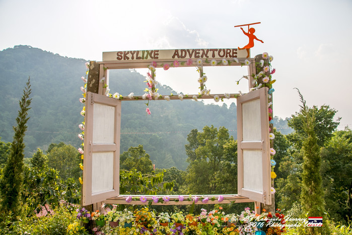 清迈佛寺之城等你采撷的泰北玫瑰,清迈环球旅行家